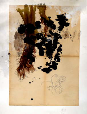 Etude topographique 672x, 076x100, technique mixte