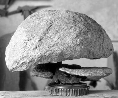 Anne 2000, 035x050x050